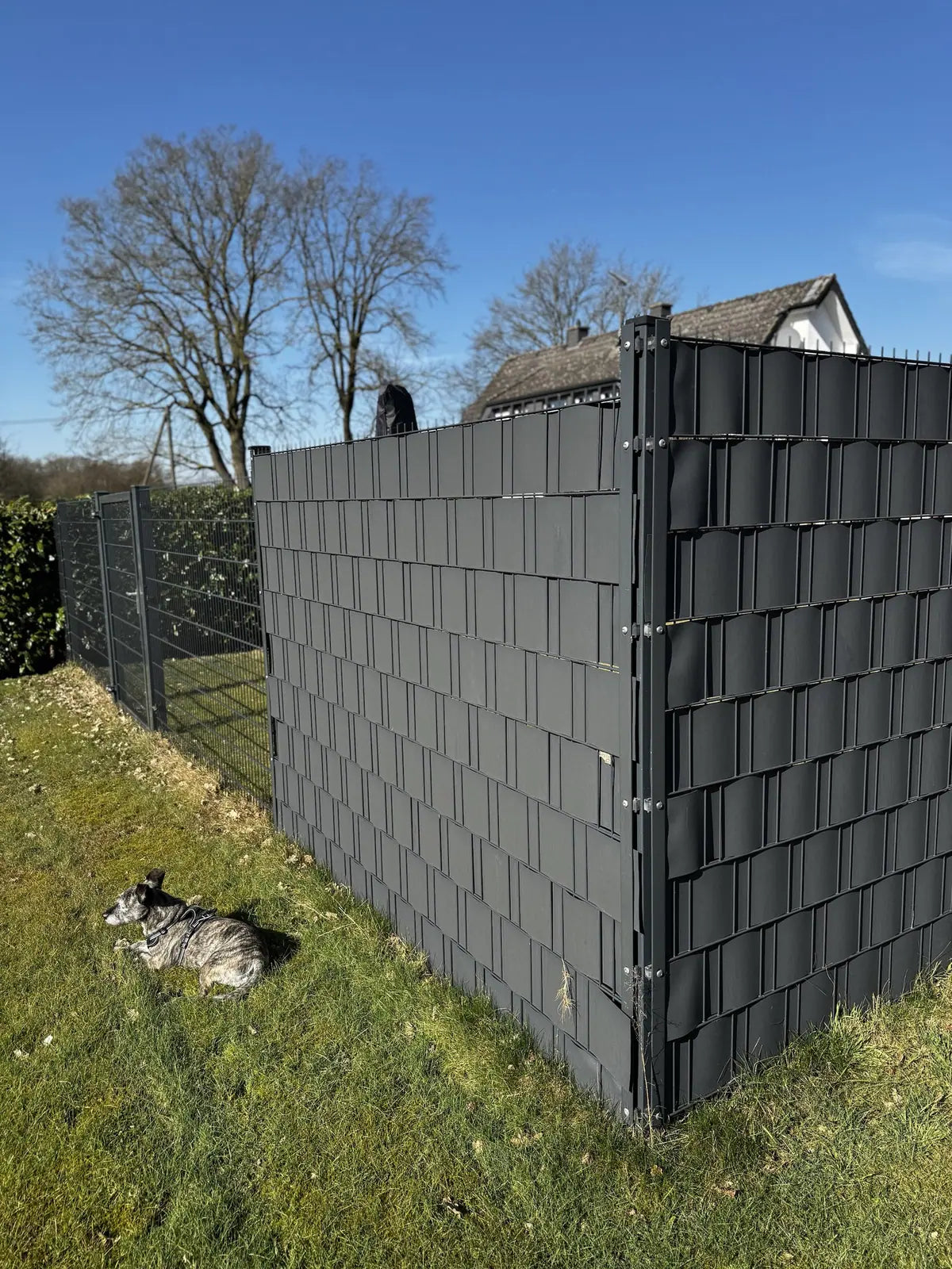 Zaunecke in Anthrazit mit Sichtschutzstreifen, davor liegt ein Hund im Gras