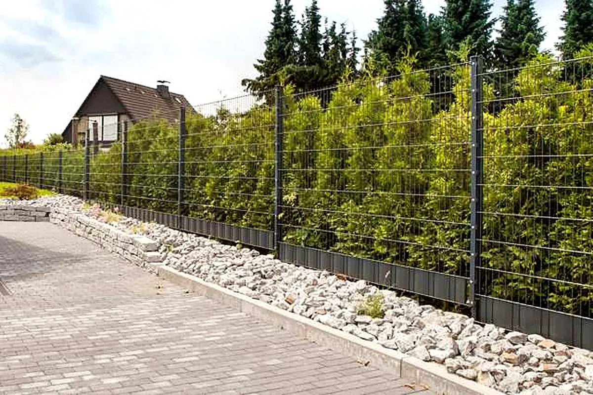 Lange Reihe Doppelstabmattenzaun in Anthrazit vor einer Hecke, davor ein Kiesstreifen